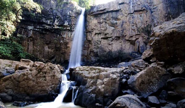 Tiger Point & Fish Point – Nature in Motion