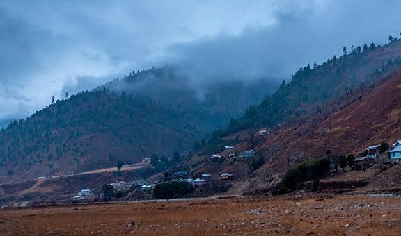 Forests That Define Shergaon
