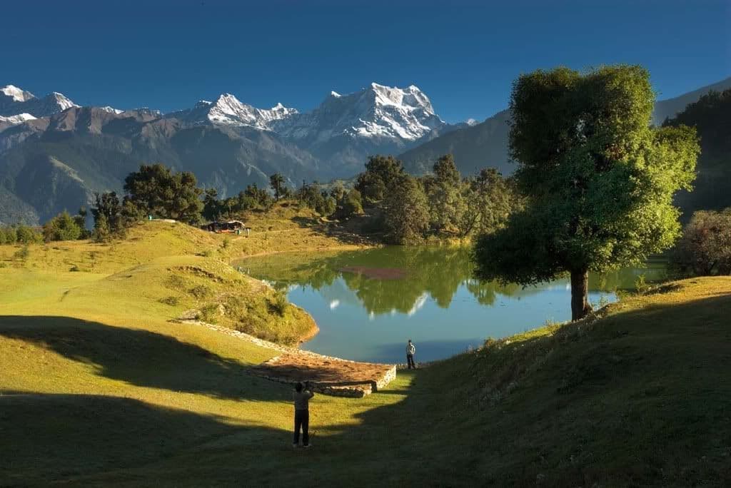 Why Forests Matter to Travelers and Locals Alike