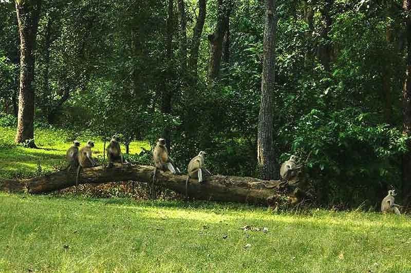 Nature & Wildlife