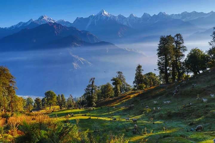 Munsiyari – The Little Kashmir of Uttarakhand