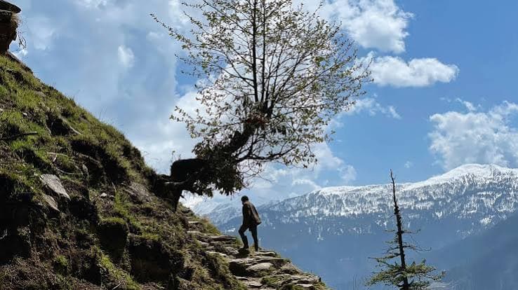 Nature & Experiences