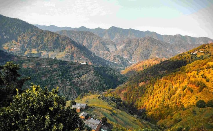 Pangot : Uttarakhand’s Hidden Paradise for Bird Lovers and Peace Seekers