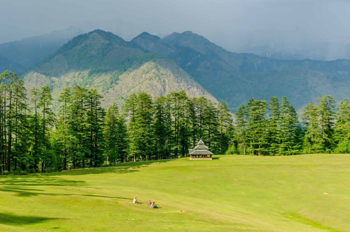 The Hidden Reality: Declining Forest Quality