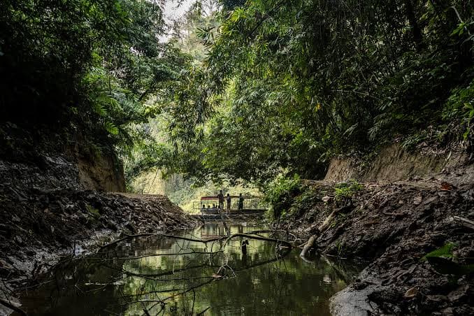 Within the Nunachhara Forest