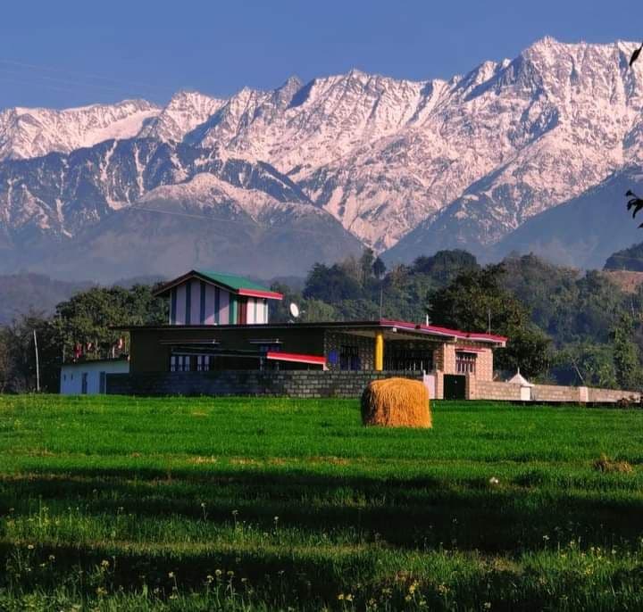 Top Experiences in Munsiyari