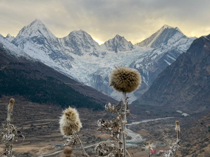 Bagini Glacier Trek: A Measured Approach to the Wild