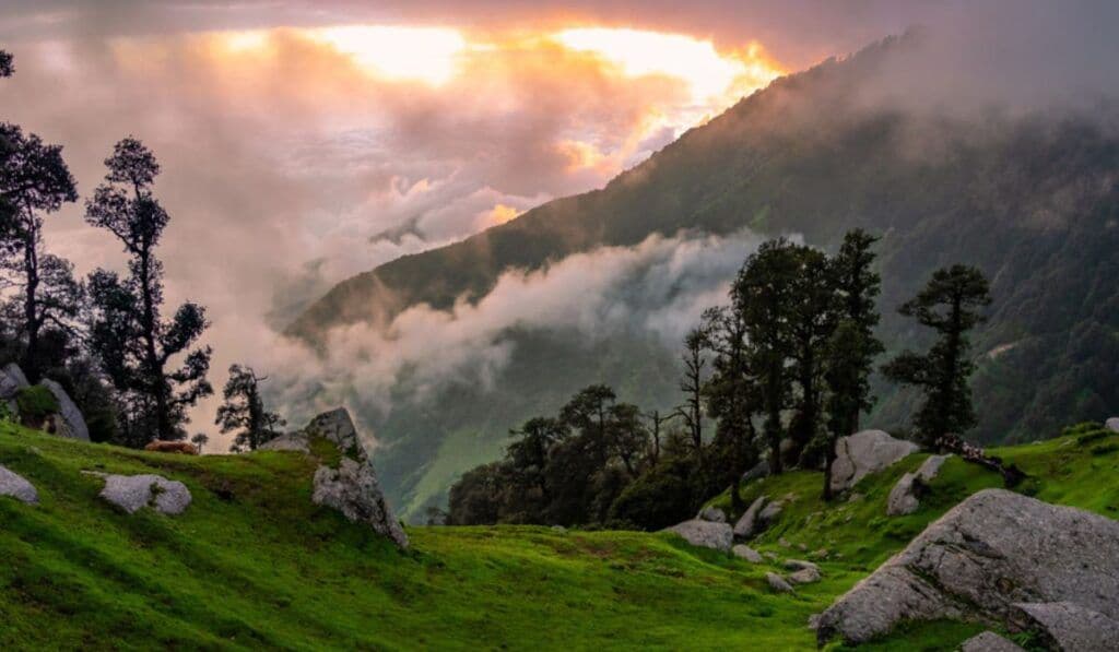 The Luxury of Remoteness