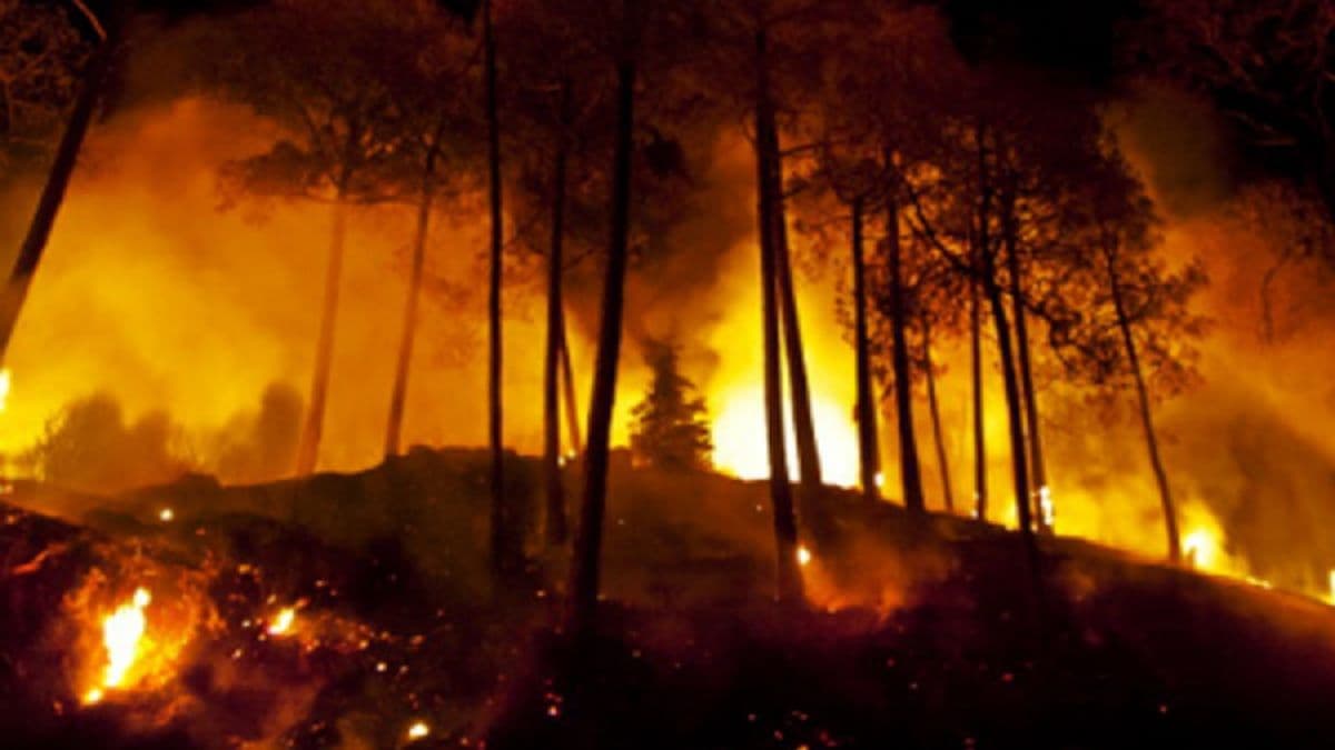 The Climate Cycle: Fire Feeding Fire