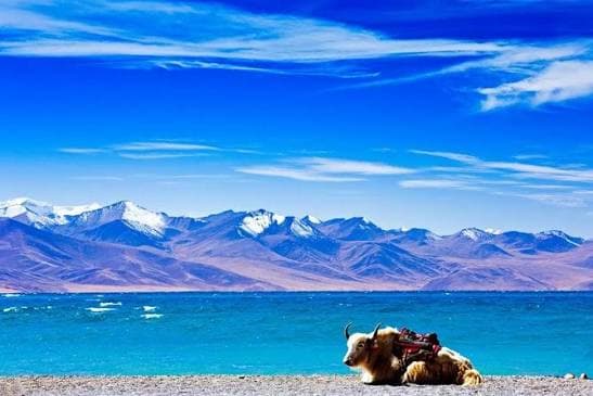 Namtso Lake – The Sacred Mirror of the Sky