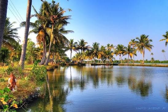 Kumbalangi Village – India’s First Model Tourism Village