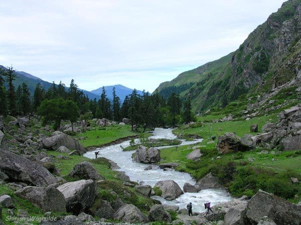 Ecological Consequences of Forest Loss