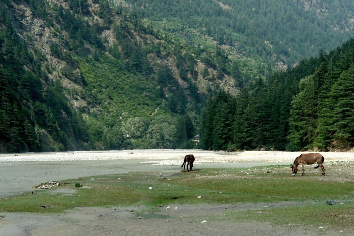 A Landscape of Contrast and Balance
