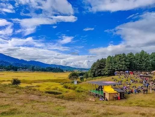 Ziro Festival of Music: India’s Hidden Paradise for Indie Music Lovers