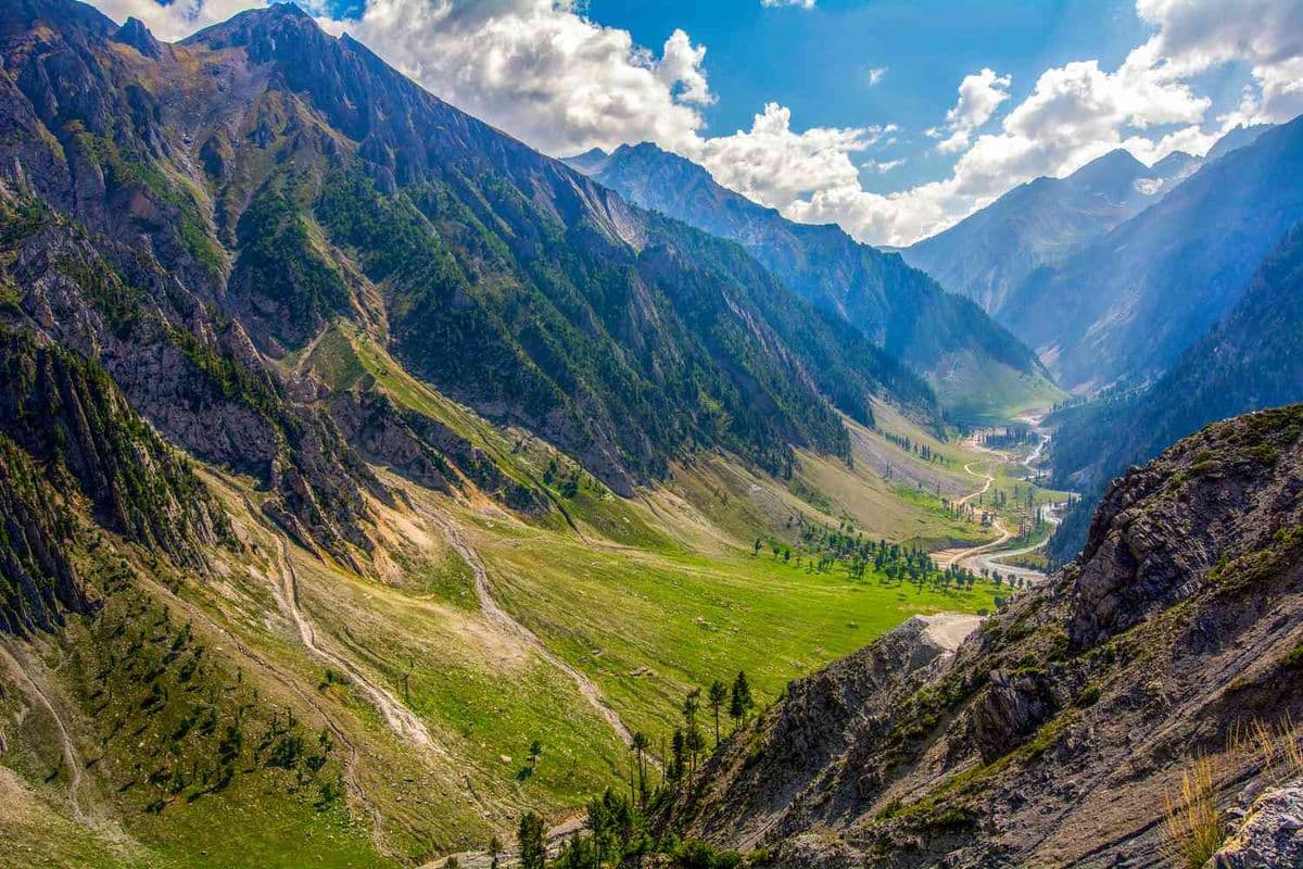 Vanishing Greens of the Himalayas: The Hidden Cost of Travel in Himachal & Uttarakhand