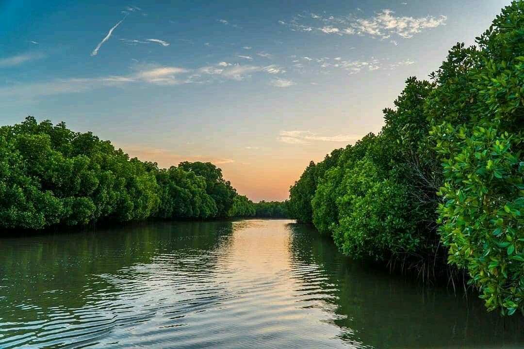 What Makes Kumbalangi Unique