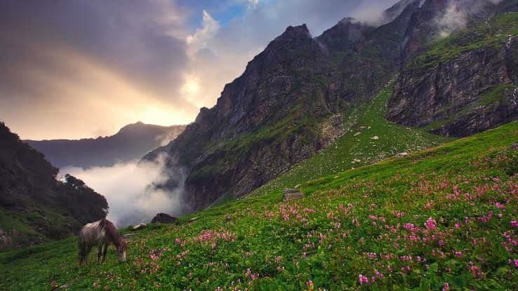 A Living, Breathing Wilderness