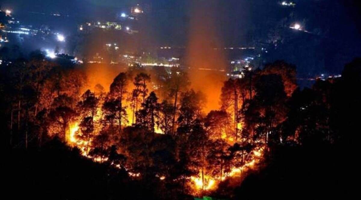 When the Forests of Uttarakhand Burn: A Himalayan Story of Fragility