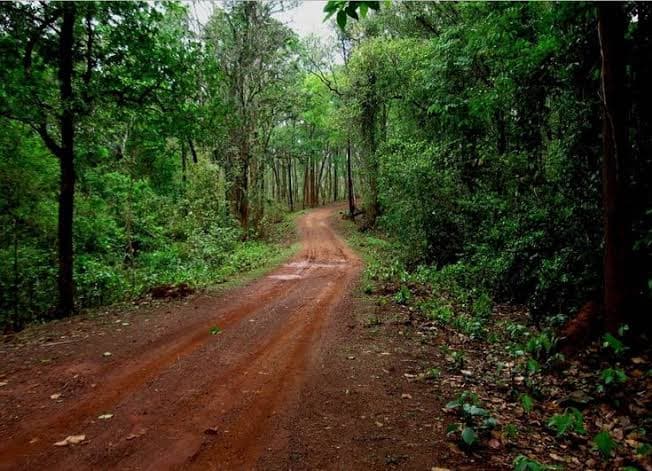 Mayurbhanj – Odisha’s Untamed Cultural Wilderness